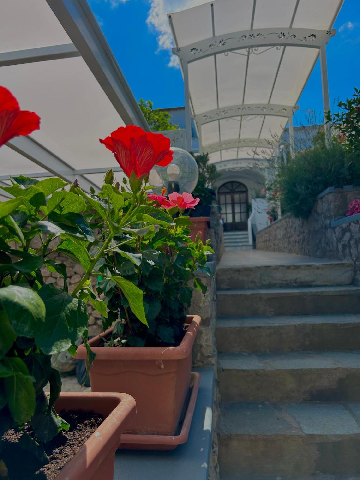 Bed and Breakfast Capri Melody Anacapri  Exterior foto